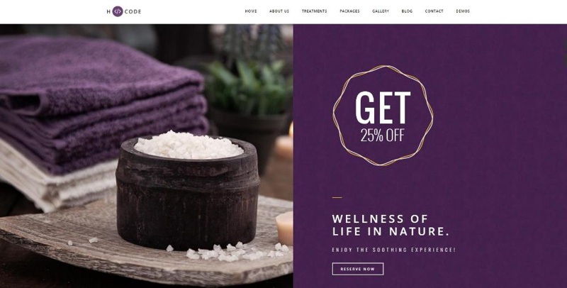 Dịch vụ thiết kế website spa