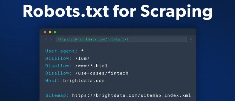 Google không tìm thấy web Google không tìm thấy web
