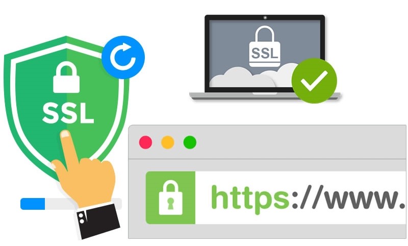 HTTPS cho web