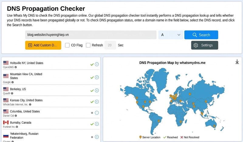 Kiểm tra subdomain