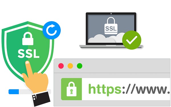 Mỗi website cần có những gì?