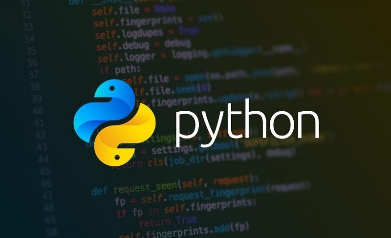 Python là gì? Từ A - Z về ngôn ngữ lập trình Python