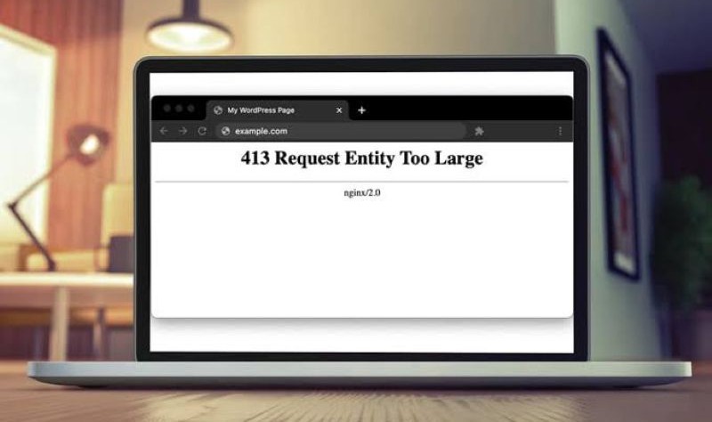 Request entity too large Request entity too large