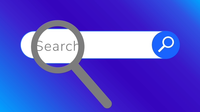 Search Box là gì? Tất cả những gì bạn cần biết