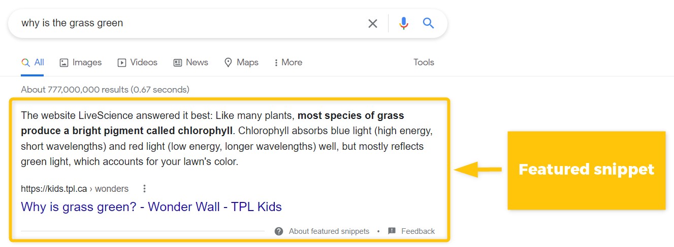 Thành phần của SERP