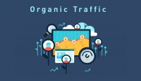Organic traffic là gì? Cách đo lường và tăng organic traffic